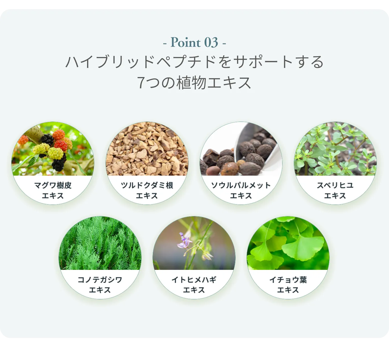 ペロバームの機能と成分_3