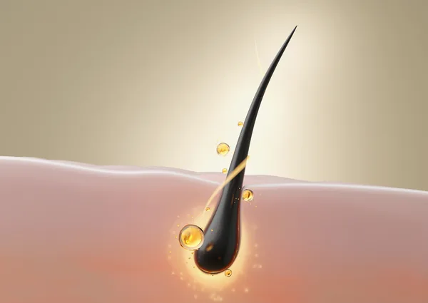 リポソーム技術による頭皮への浸透イメージ